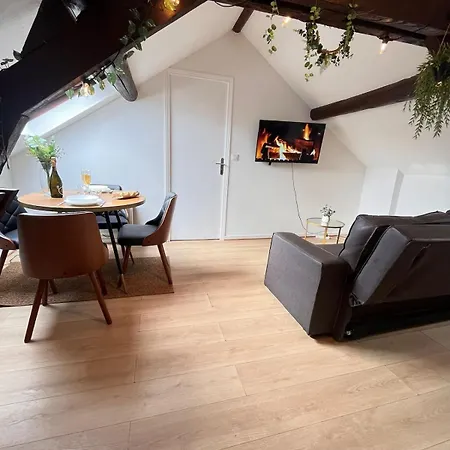 E - Au Petit Bonheur Cosy Proche Du Centre-ville Daire